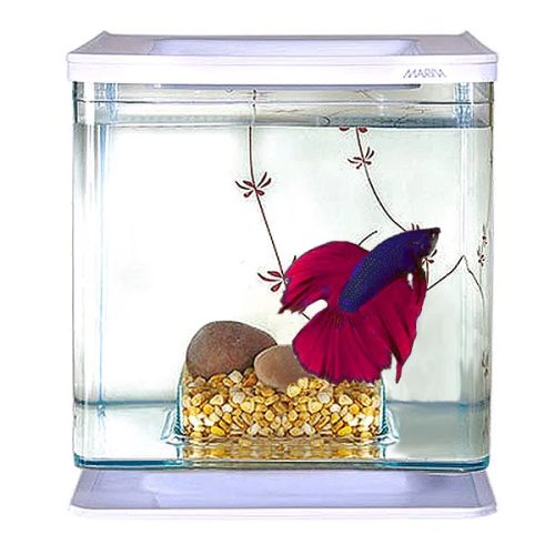 Betta Kit Modern Art miniakvárium 2L