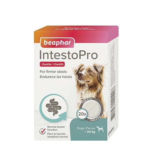 IntestoPro Large tabletta hasmenésre 20kg feletti kutyáknak