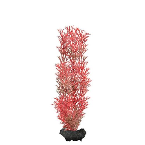 DecoArt Red Foxtail Medium 23cm