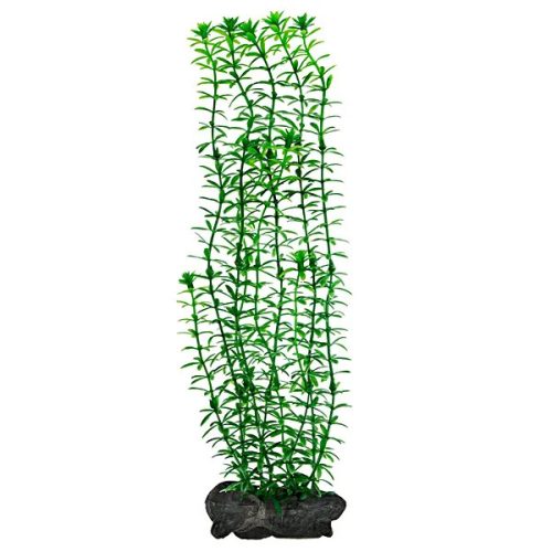 DecoArt Anacharis Large 30cm