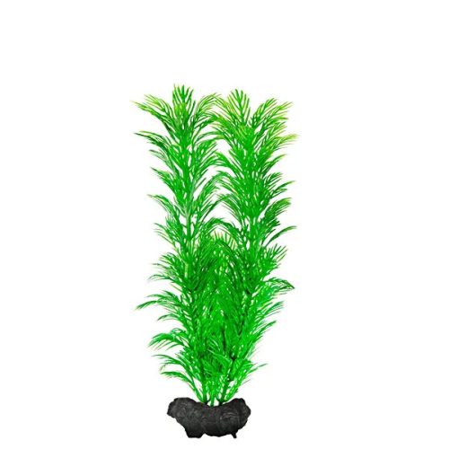 DecoArt Green Cabomba Medium 23cm