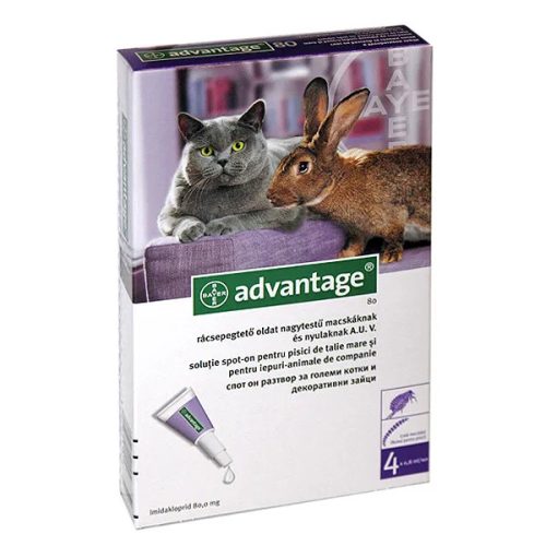 80 Cat SpotOn 4x0,8ml