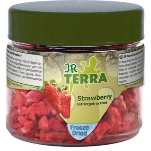 JR Farm Terra Freeze Dried Strawberry 10g