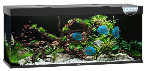 Juwel Rio 450 LED fekete akvárium
