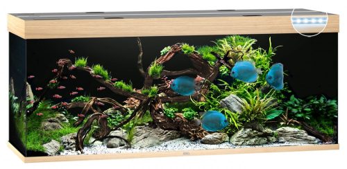 Juwel Rio 450 LED világosbarna akvárium