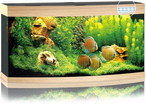 Juwel Vision 260 LED világosbarna akvárium