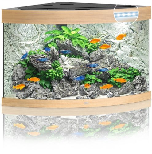 Juwel Trigon 190 LED világosbarna akvárium