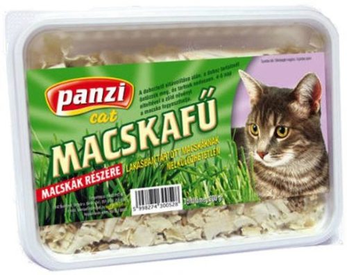 Panzi macskafű