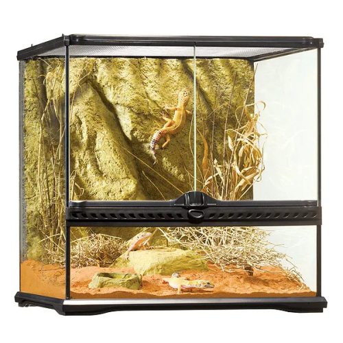 Glass Terrarium Small/Wide 45x45x45cm