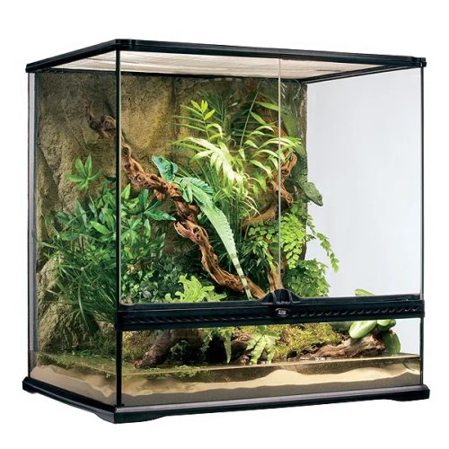 Glass Terrarium Medium/Tall 60x45x60cm