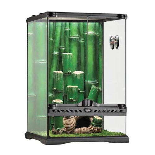 Glass Terrarium Bamboo Forest 30x30x45cm