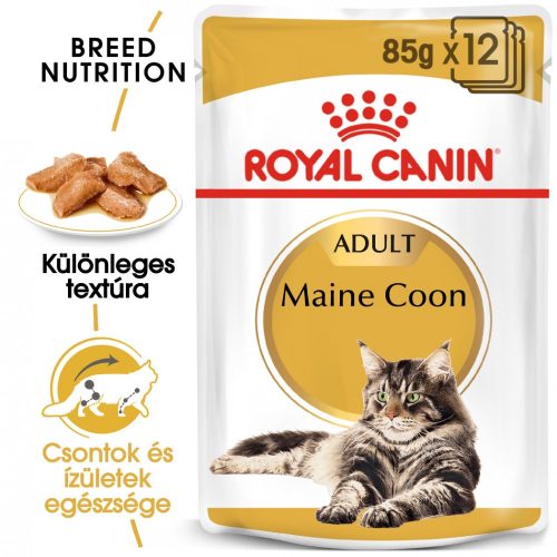 Royal Canin Wet Mainecoon 12x85g