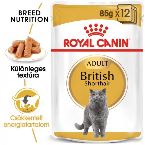 Royal Canin Wet Brit Shorthair 12x85g