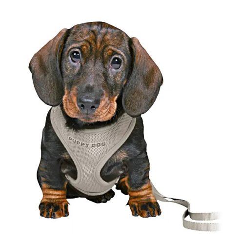 Puppy Soft Hám pórázzal Világosszürke 26-34cm 10mm/2m