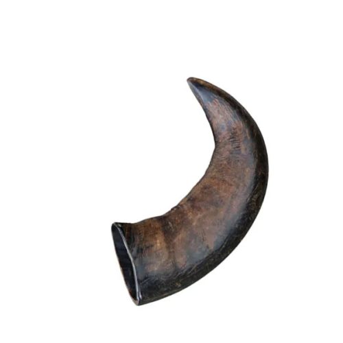 Buffalo Chewing Horn Bivalyszarv medium