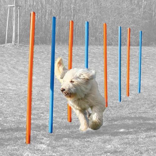 Agility Slalom poles szlalom akadály 12db
