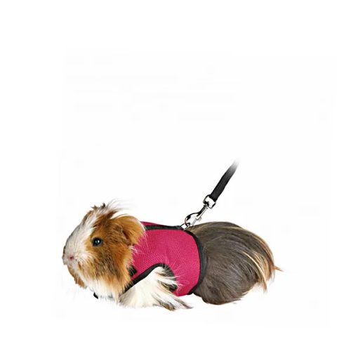 Soft Tengerimalac hám pórázzal Small 18-25cm