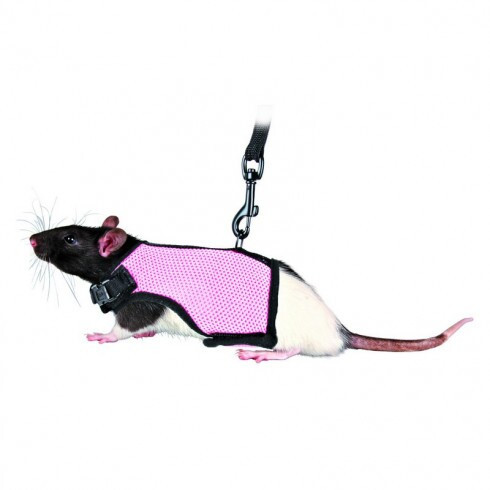 Trixie hám és póráz szett vegyes színek görény és patkány részére 25-40cm 