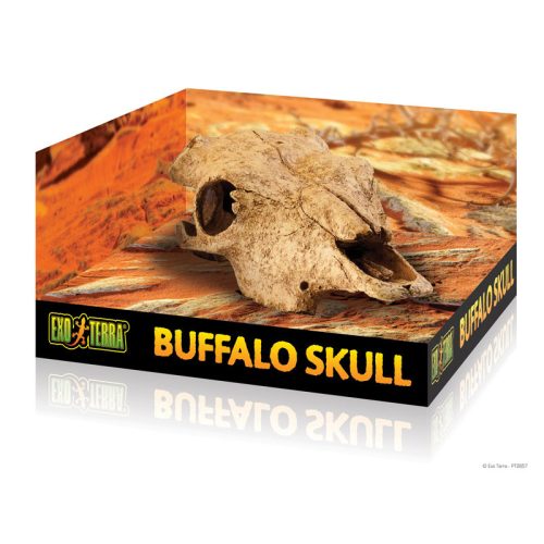 Exoterra-buffalo-skull-buvohely